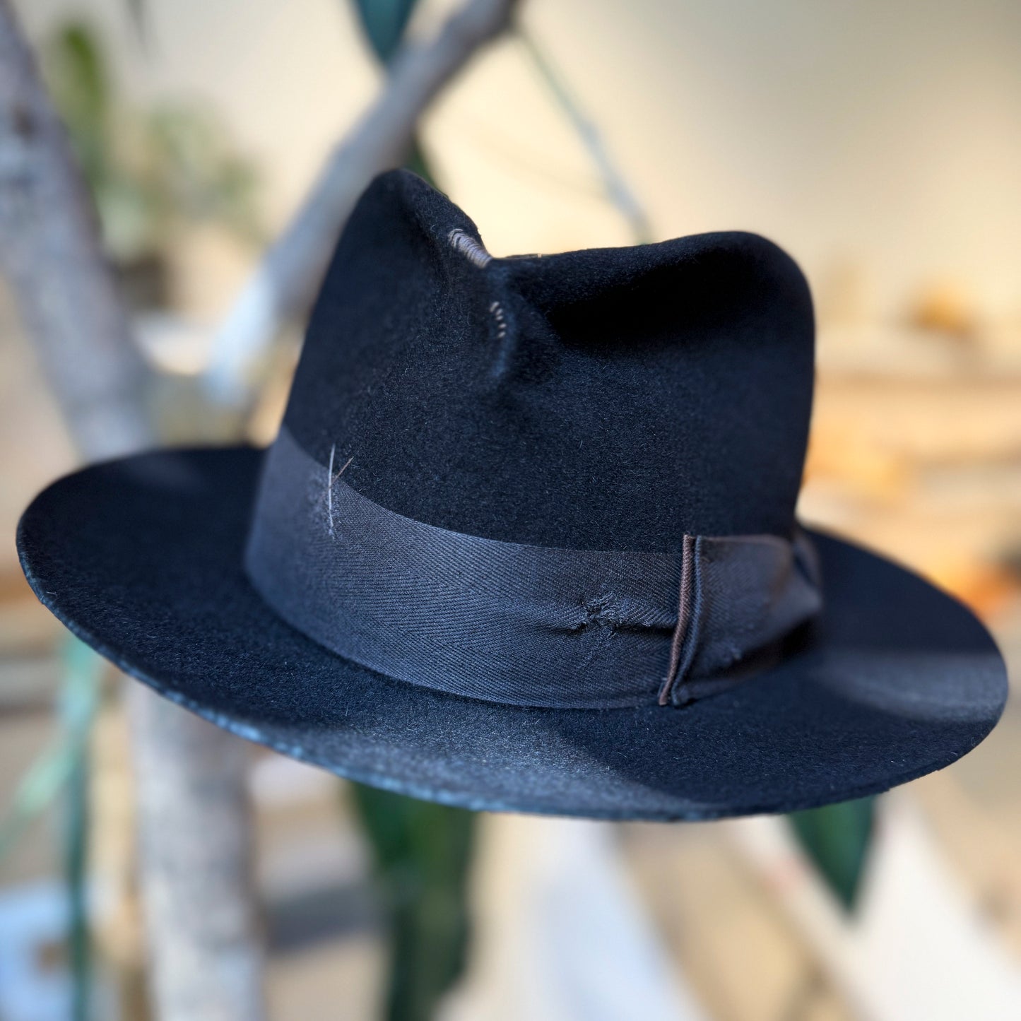 Tom Hardy: Ruggedly Handsome Fedora